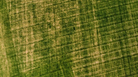 Aerial shot from Simon Leach's drone Aerial shot from Simon Leach's drone